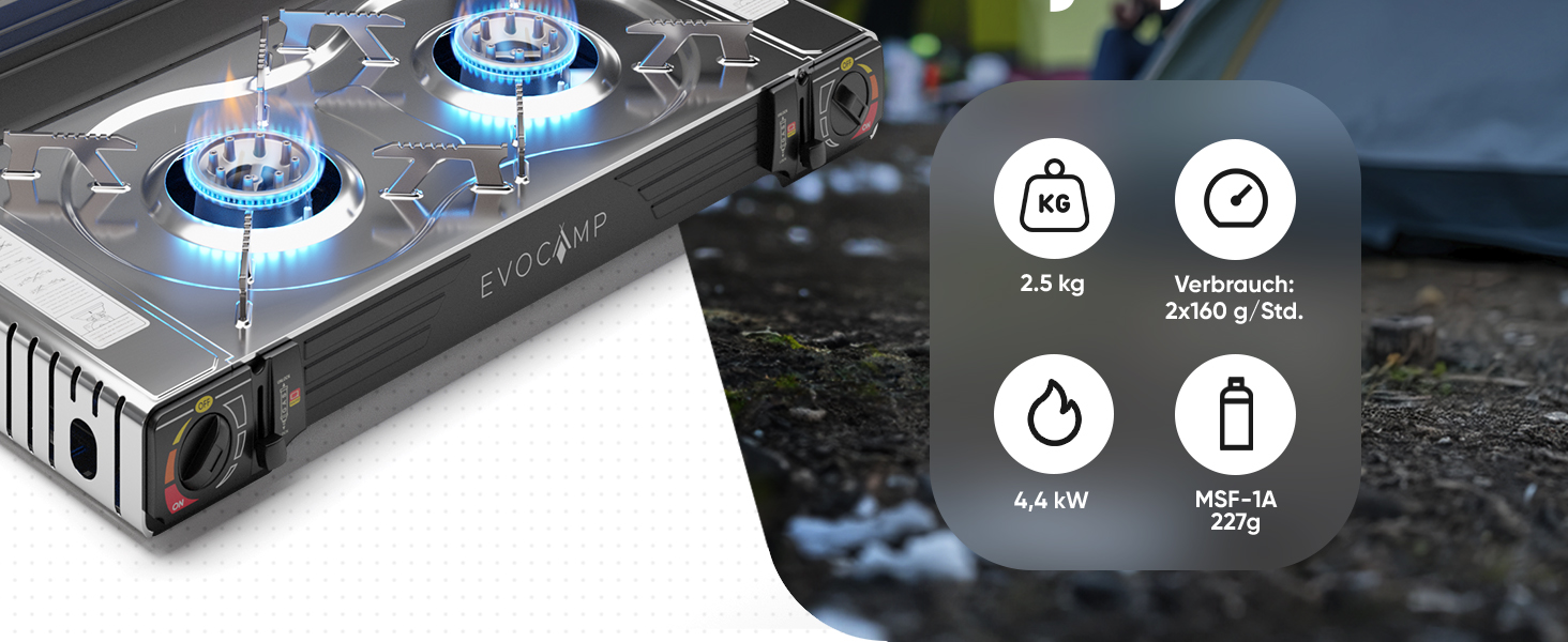 Газовий наметний пальник Gaskocher 2-flammig з п'єзозапалюванням для балончиків MSF-1a 227g - 4 балончики в комплекті