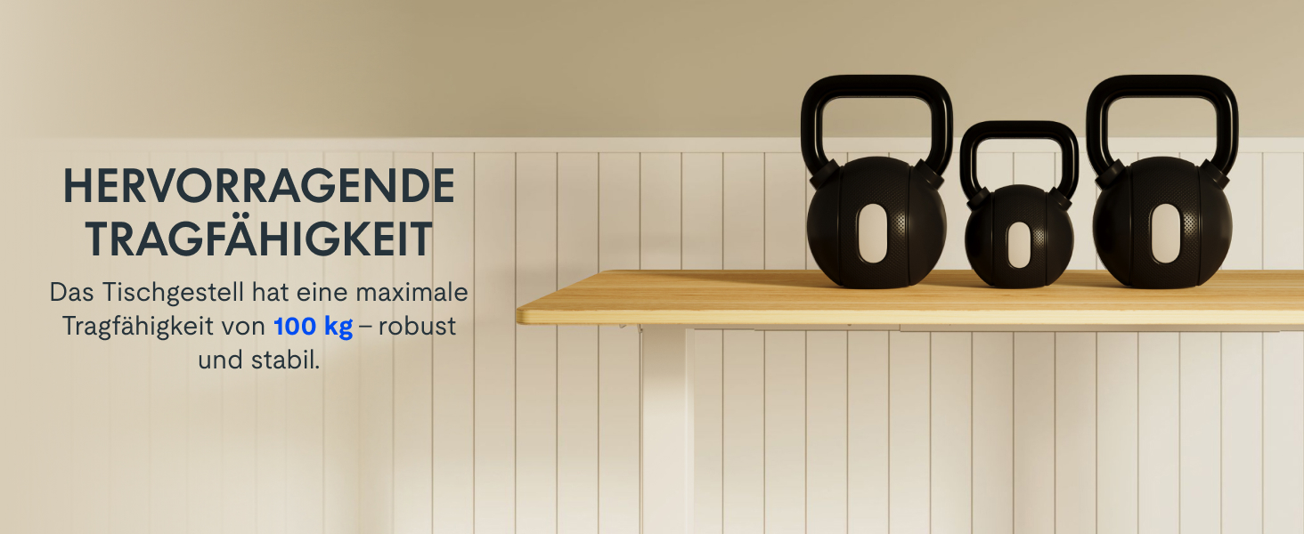 Електричний регульований стіл FLEXISPOT 120x80 см з подвійним мотором - ергономічний стоячий стіл для дому та офісу, 100 кг, тиха робота (<50 дБ), сірий + чорний