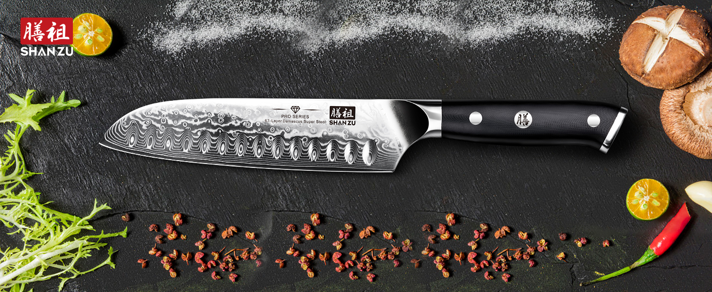 Ніж кухарський SHAN ZU Damast 20 см, 67 шарів дамаської сталі, серія PRO, з ручкою G10