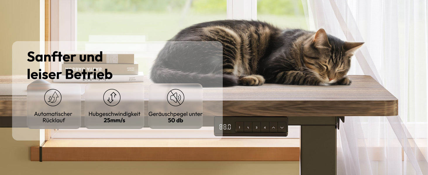 Регульований по висоті письмовий стіл SANODESK з двома моторами, 180 x 80 см, коричневий