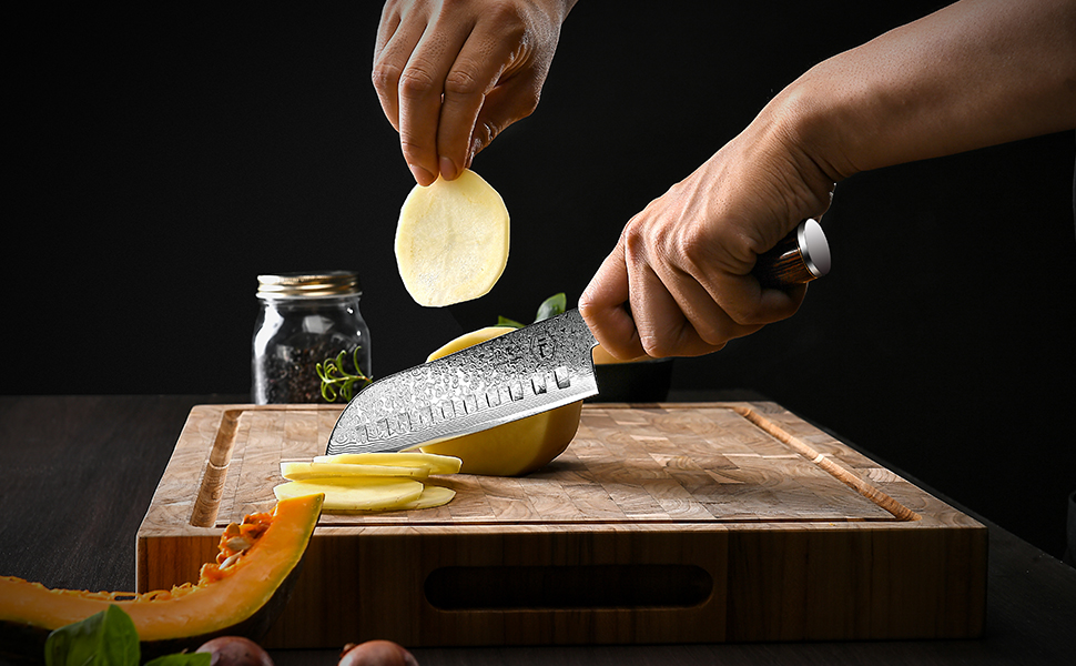 Японський ніж Gyuto FANTECK з дамаської сталі 20 см (67 шарів VG-10) - професійний кухонний ніж з ручкою з паккавуду, в подарунковій коробці