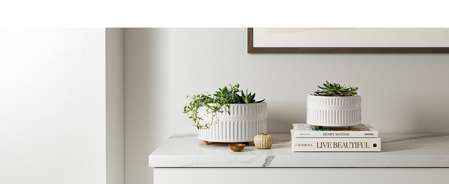 Набір горщиків для сукулентів LE TAUCI, 16,5+20 см, кераміка, з дренажними отворами, сучасний циліндричний дизайн, набір 2 шт., реактивна глазур білого кольору