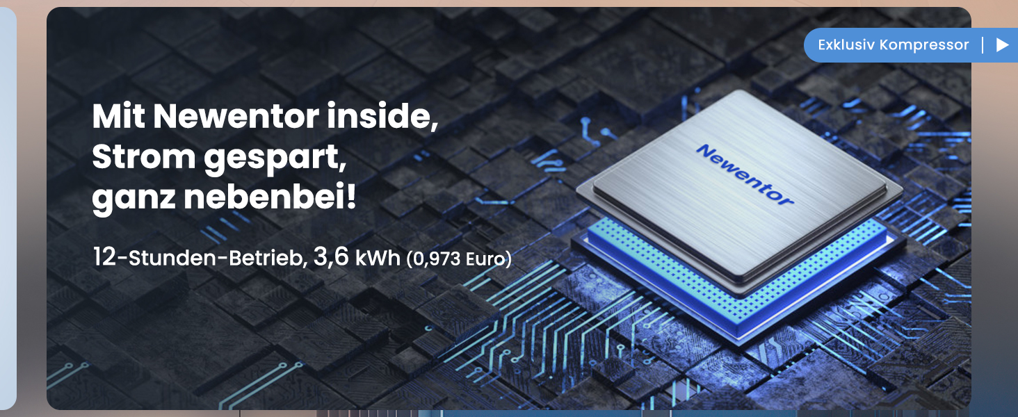 Newentor Осушувач повітря електричний 30л для дому та підвалу, 245м³/90м², з таймером, фільтром, шлангом для зливу, гарантія 10 років