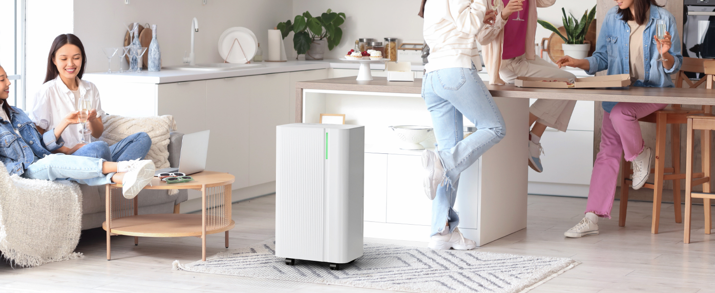 EUHOMY Електричний осушувач повітря для підвалу з відведенням води, тихий та економічний, з автоматичним розморожуванням, таймером, для квартири до 50 м² (12 л/день)