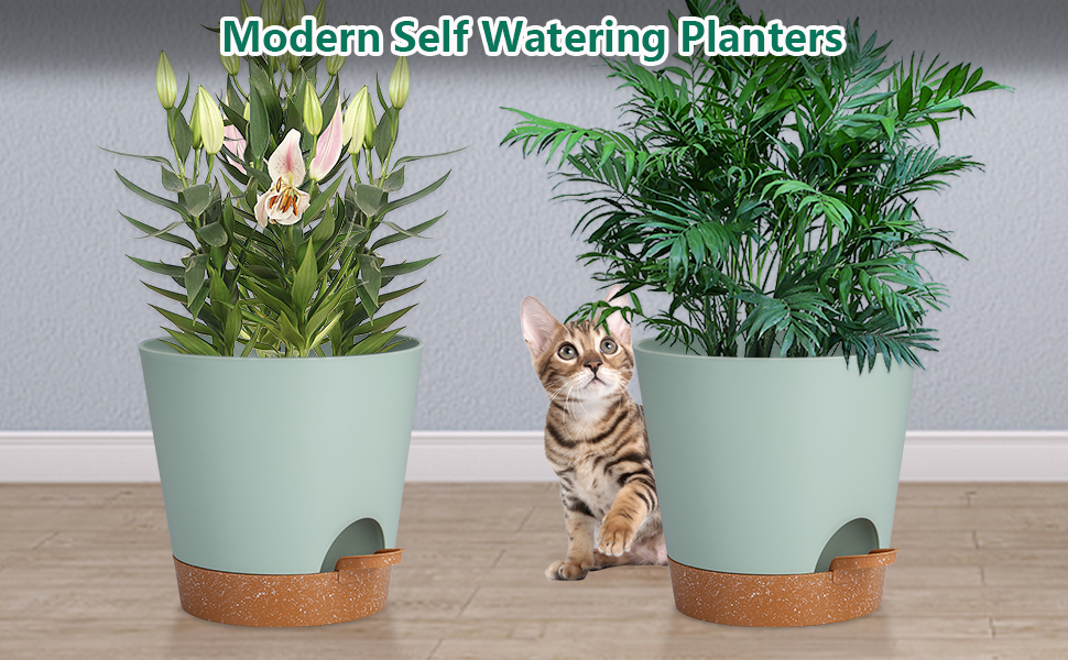 Набір горщиків для квітів 2 шт. 25.4 см, пластикові горщики з системою поливу, сучасний дизайн для дому, балкону, саду, сукулентів, кактусів (зелений) (зелений, коричневий, 20.3 см)