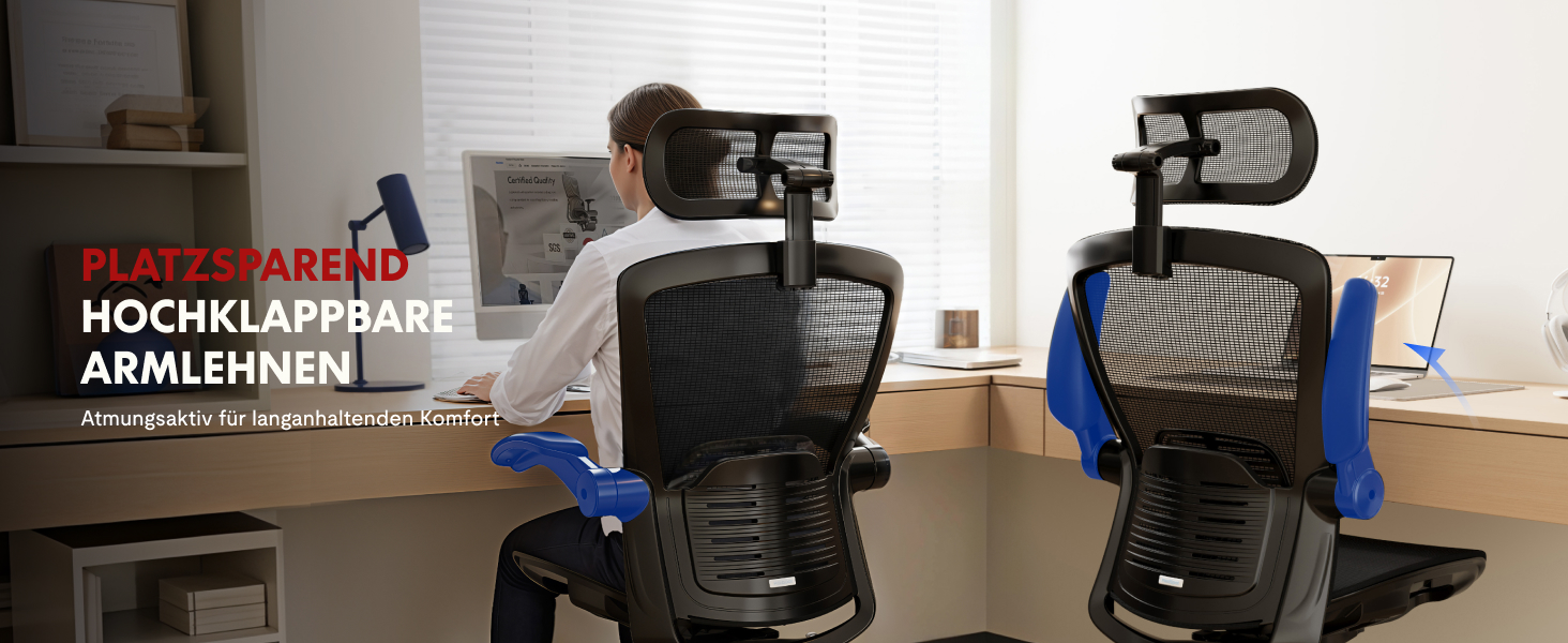 Офісний стіл FLEXISPOT Pro (Чорний Mesh): ергономічний крісло з регульованою підголівником, підлокітниками та поперековою підтримкою, функція гойдання 120° для дому, офісу та робочого кабінету