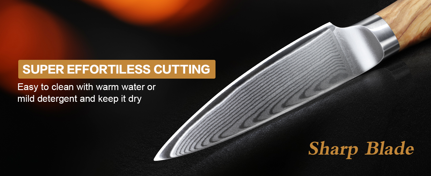 Японський ніж HOSHANHO з дамаської сталі 20 см, 67 шарів, кухонний ніж для приготування їжі, гострий, з ергономічною ручкою оливкового кольору (9.5 см), ніж для очищення