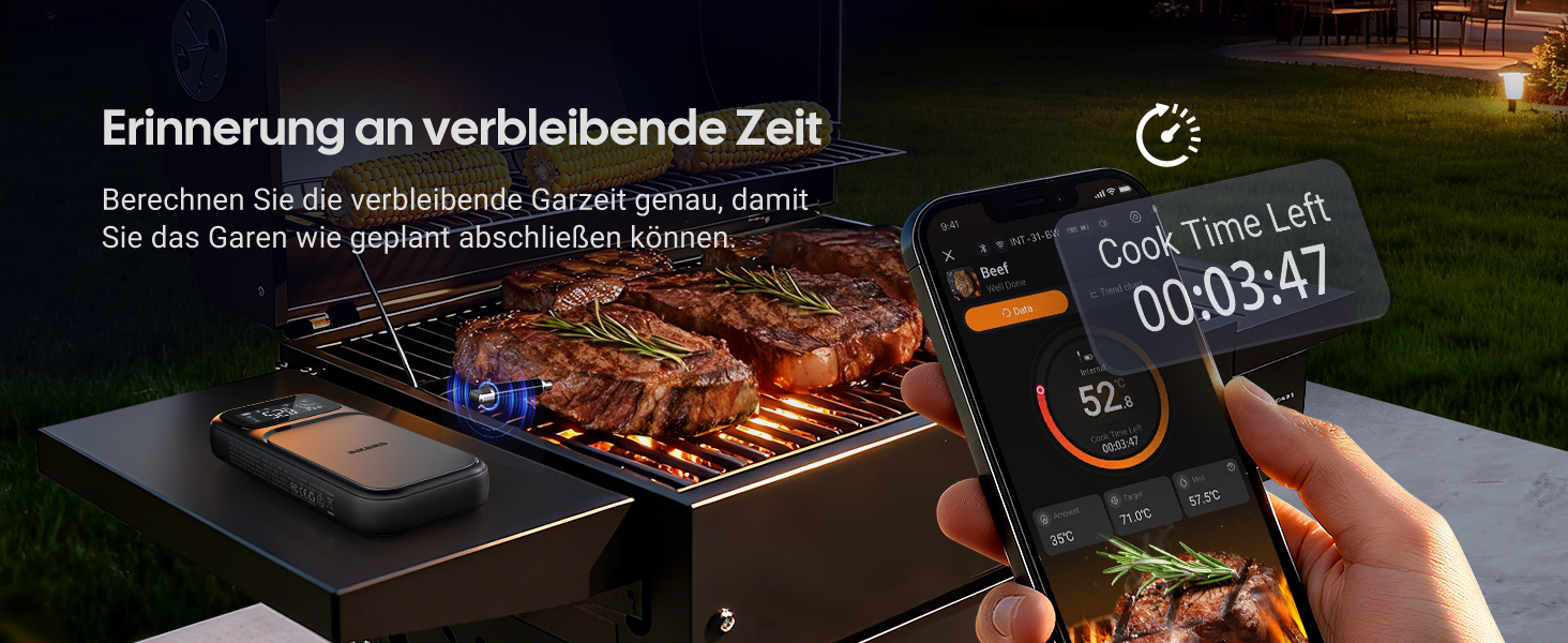 Термометр для м'яса INKBIRD INT-31-BW: бездротовий, Wi-Fi, Bluetooth, для приготування на грилі, в духовці, мангалі, фритюрниці