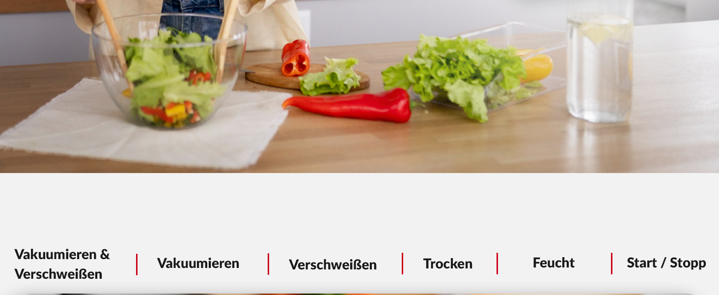 Вакууматор для продуктів LEHMANN — вакуумний пакувальник для сухих та вологих продуктів, пристрій для запаювання пакетів з шлангом для відкачування повітря, ширина шва 30 см