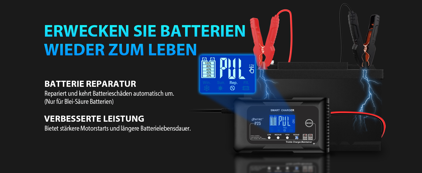 Зарядний пристрій HTRC 25A 12 В/24 В, струмковий зарядний пристрій і десульфатор для автомобілів, мотоциклів, човнів, літієвих, свинцево-кислотних