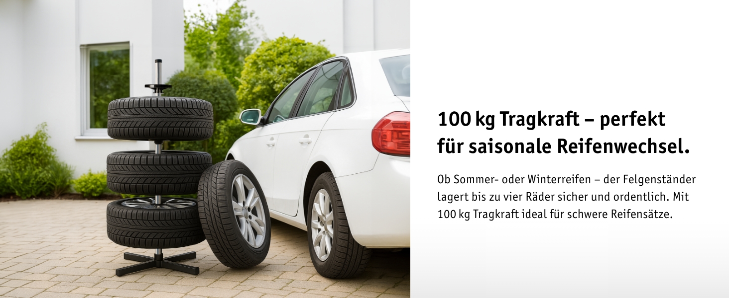 Підставка для шин Walter Felgenbaum для легкових автомобілів, до 100 кг, ширина шини до 225 мм, щадна для дисків