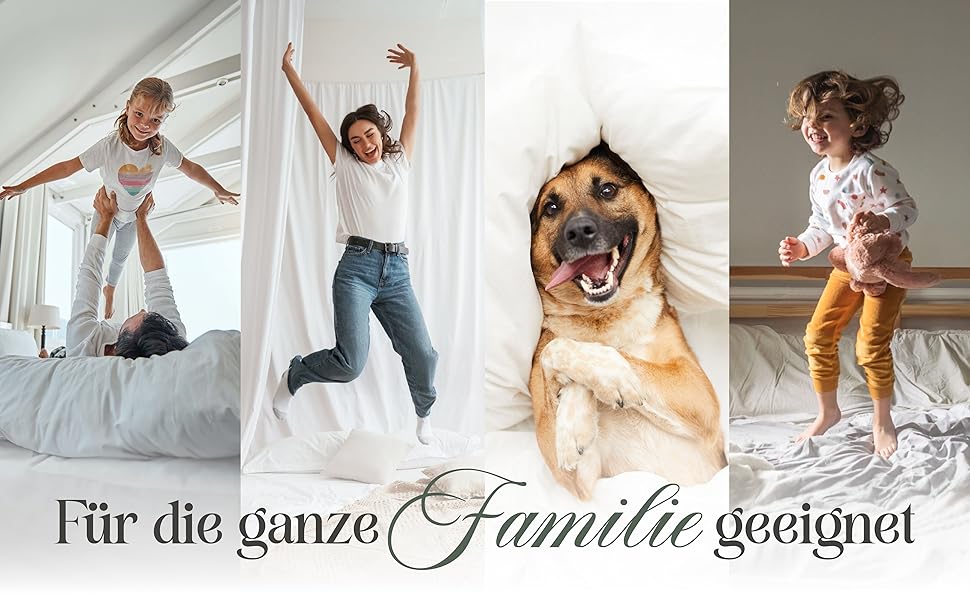 Комплект постільної білизни Fam' Home 200x200 см та 2 подушки 80x80 см – комплект для 2 осіб, антиалергенний, мікрофібра, Oeko-Tex® сертифікат, машинне прання