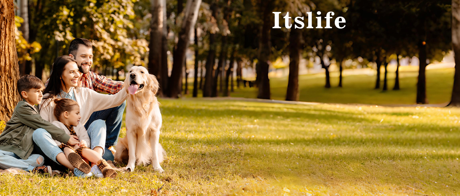 Термоконтейнер для їжі Itslife 970 мл, термоконтейнер з кришкою, з нержавіючої сталі з ложкою, термотермос для їжі, термоланчбокс для супів, дитячого харчування, каші (зелений)