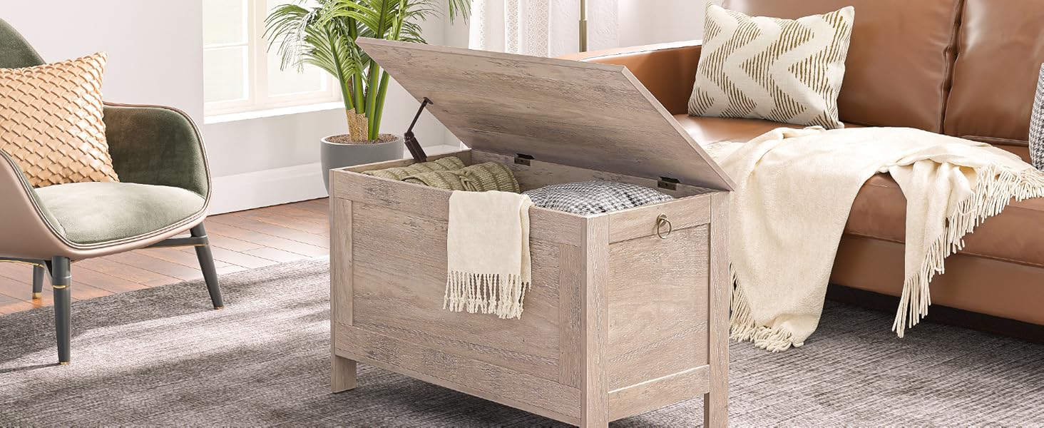 HOOBRO Лавка з ящиком для зберігання, іграшкова скриня з кришкою, тумба для взуття, лавка для сидіння, скриня для зберігання, міцна, безпечні петлі, спальня, вітальня, 76 см, білий EWT75CW01G1, білий (76 x 40 x 48 см, Greige)