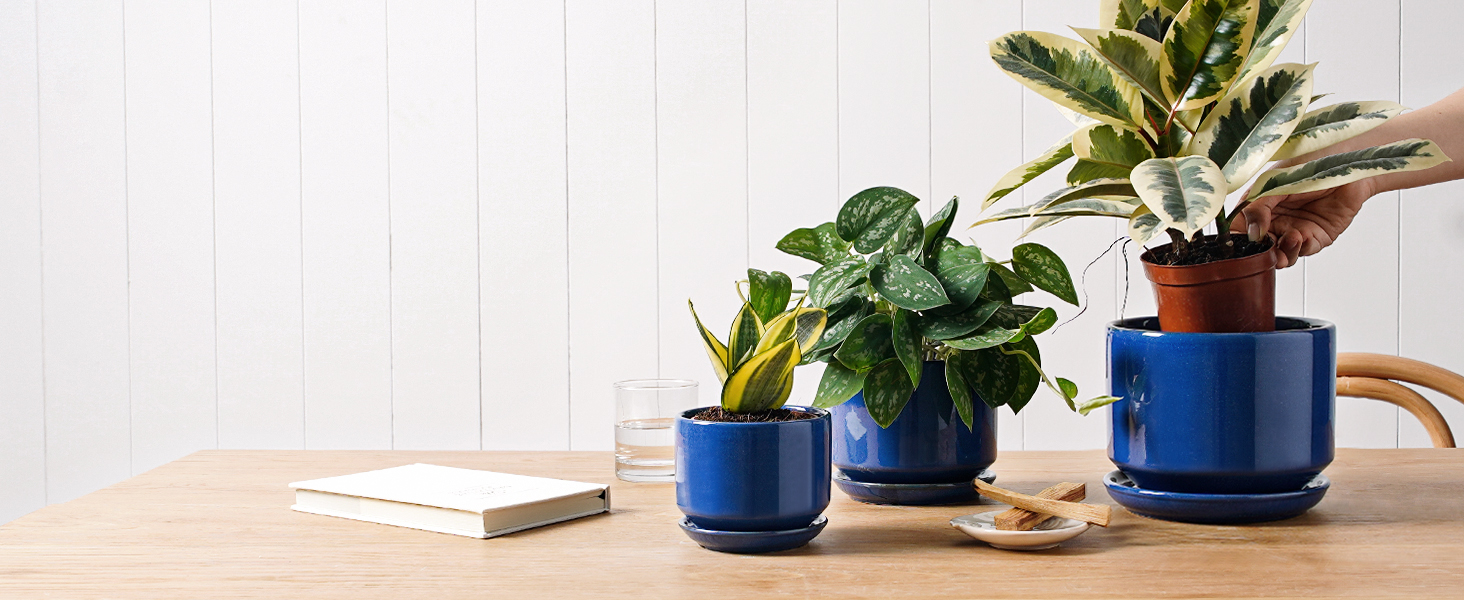Набір керамічних горщиків LE TAUCI 3 шт. (11, 13, 17 см), горщики для кімнатних рослин з підставкою та дренажним отвором, реактивна глазур (бежевий, сапфіровий блакитний)