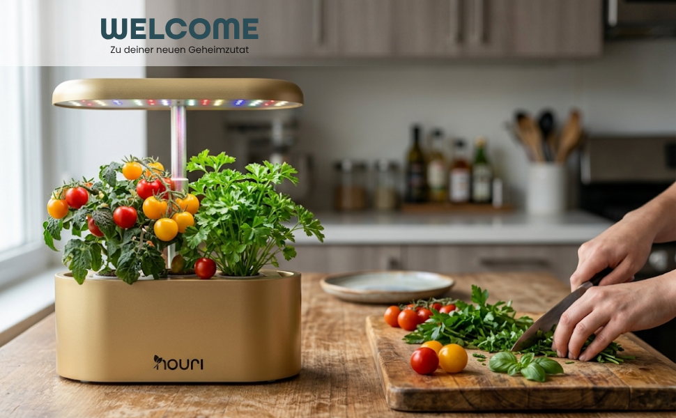 Smart Garden Nouri 12 Pod для вирощування томатів вдома | Гідропонна система | LED лампа для розсади | Автоматичний догляд