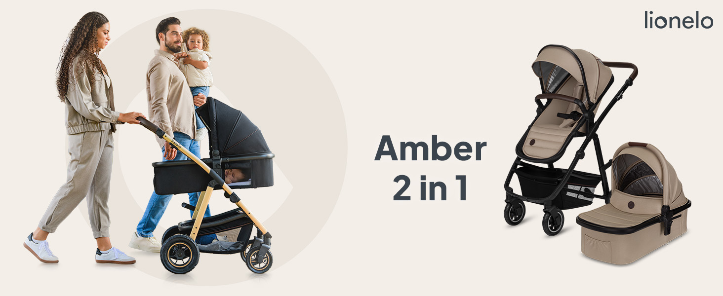 Дитячий візок Lionelo Amber 2 в 1 (Black Onyx) - універсальний, з люлькою та прогулянковим блоком, в комплекті сумка, москітна сітка, дощовик