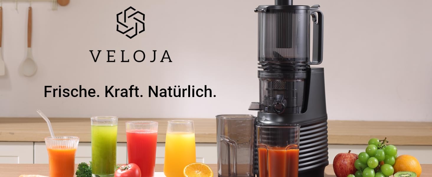 Професійний шнековий соковичавник Slow Juicer Pro для цілих фруктів та овочів – тиха робота, легке очищення, з рецептами
