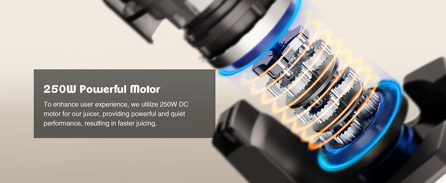 Фреш-прес Fretta Slow Juicer: Швидкий та зручний соковичавник з нержавіючої сталі для овочів та фруктів, 135 мм, 1.8 л, з функцією реверсу, 250W (Темно-зелений)