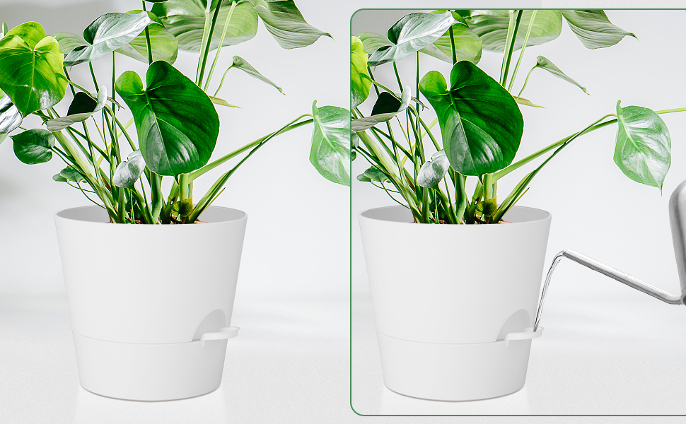 Набір з 2 горщиків для квітів 25.4 см, пластик, з системою поливу, для дому, балкону, саду, сукулентів, кактусів (зелений, білий)