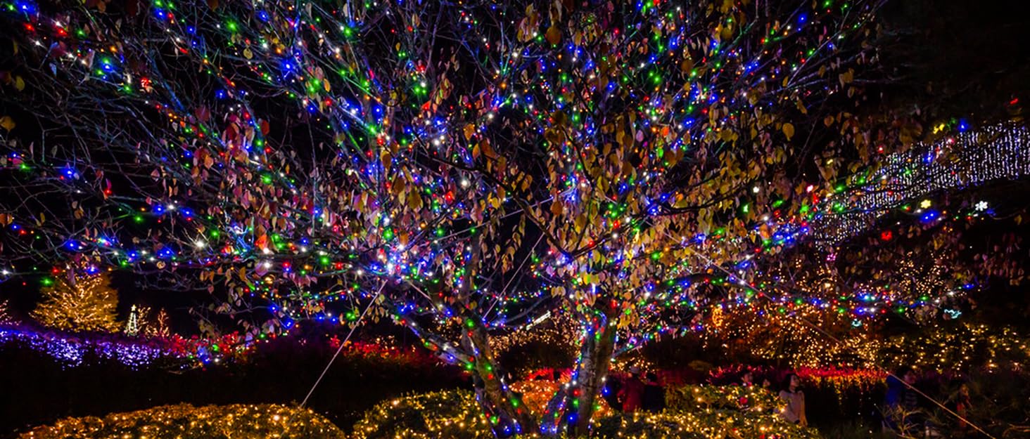 Кольорова світлодіодна гірлянда 1000 LED 50м для вулиці та дому, 8 режимів, таймер, диммер, IP44 — Різдвяна ілюмінація для балкона та тераси