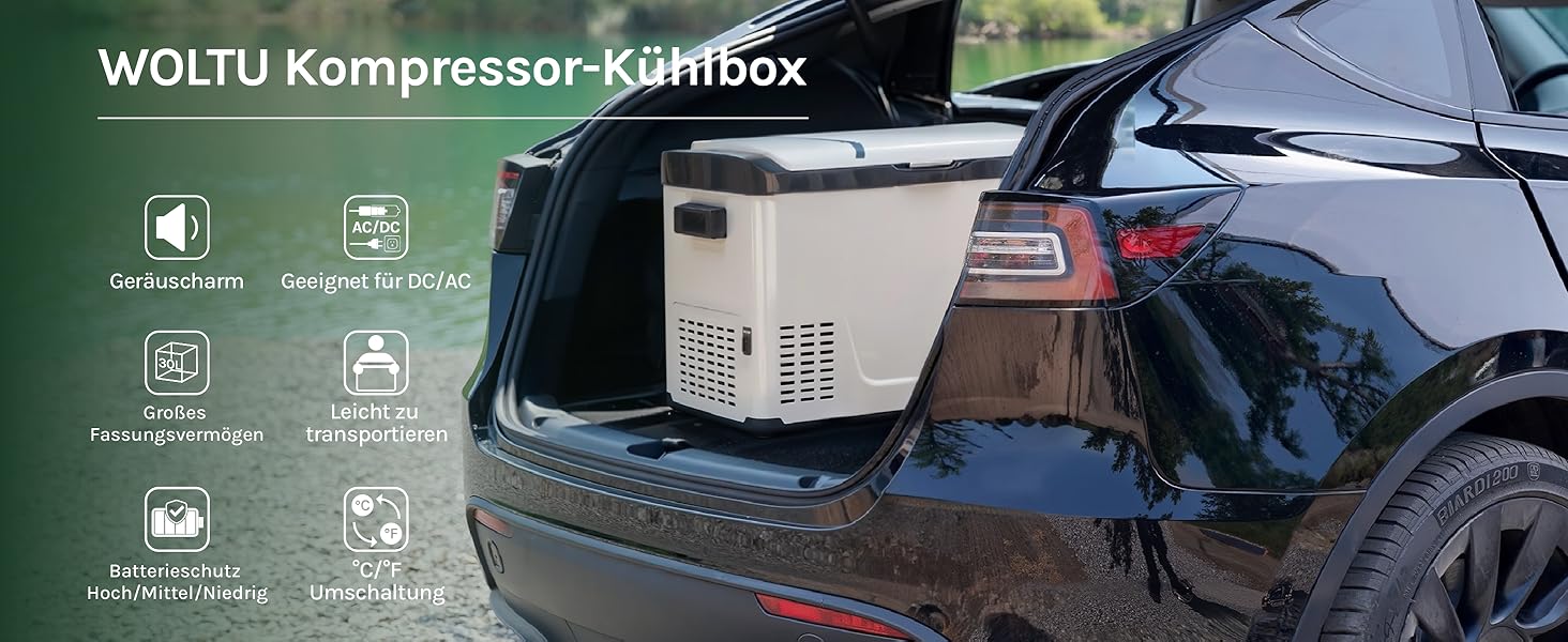 Автомобільний холодильник WOLTU 30л, електричний 12/230V, двозонний, для авто, пляжу, пікніка - білий + адаптер