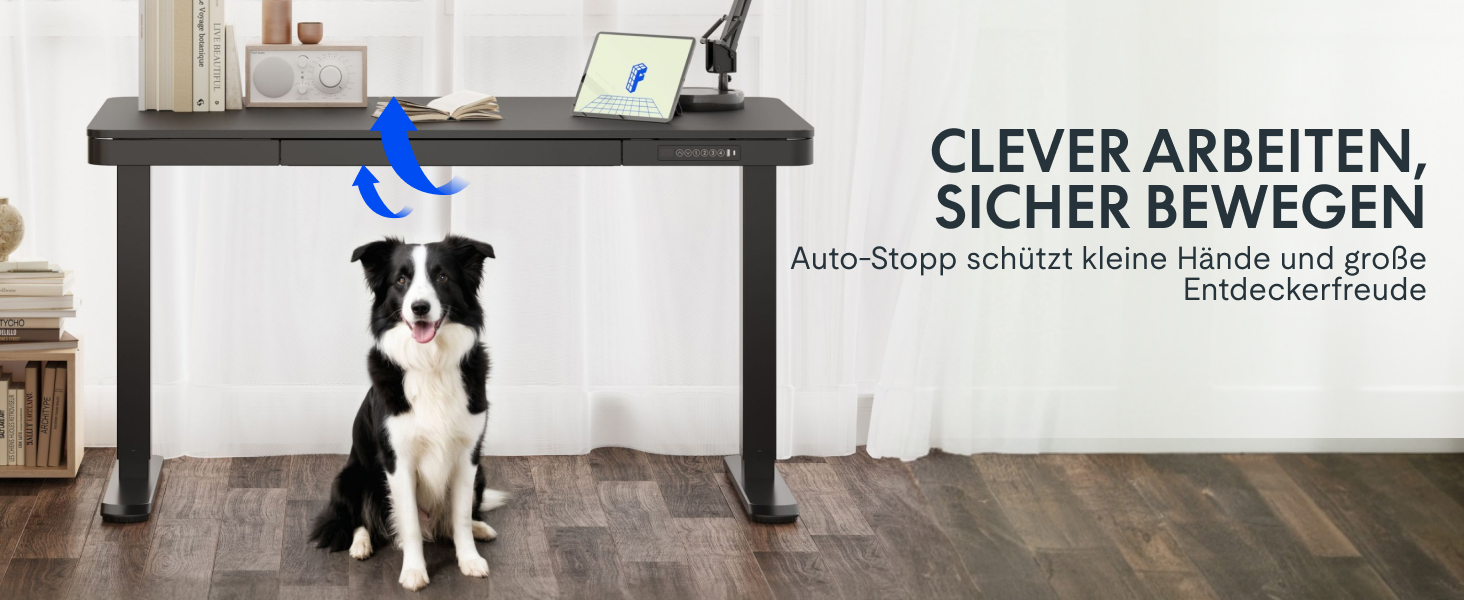 Електричний регульований стіл FLEXISPOT з підйомною функцією, USB-порт, ящик для зберігання та скляною стільницею (сніжно-білий), 140 x 70 см, Luxusschwarz