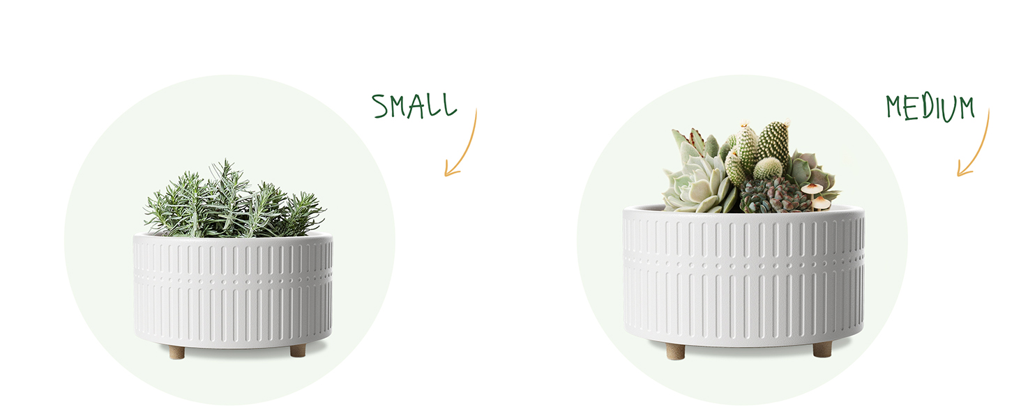 Набір горщиків для сукулентів LE TAUCI, 16,5+20 см, кераміка, для дому, з дренажними отворами, сучасний циліндричний дизайн, 2 шт. (білий)