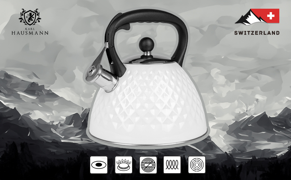 Чайник електричний Induktion 3L з автоматичним свистком - нержавіюча сталь, для індукційних, газових та електричних плит