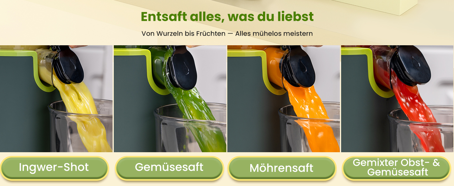 LINKChef Швидковичавник Slow Juicer: холодний віджим, для овочів та фруктів, легко миється, BPA Free, 200W (зелений)