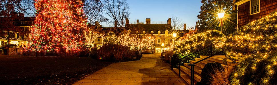 LED гірлянда RESNICE 30м, 300 LED, водонепроникна, з пультом, для дому та саду