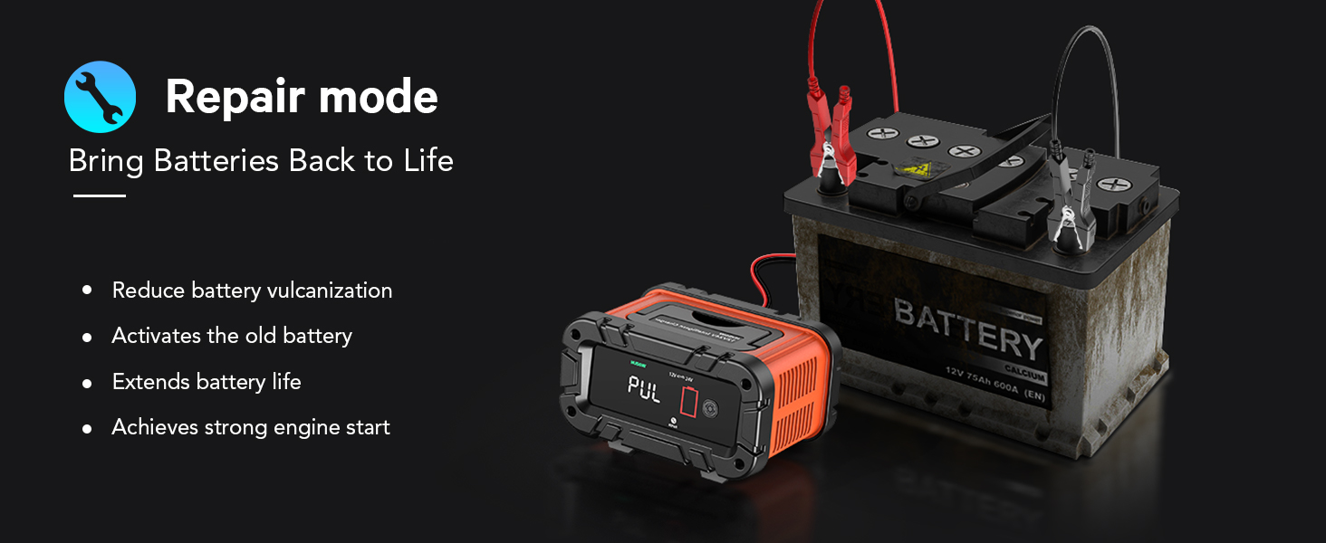 Автоматичний зарядний пристрій для акумуляторів з температурною компенсацією (10A)