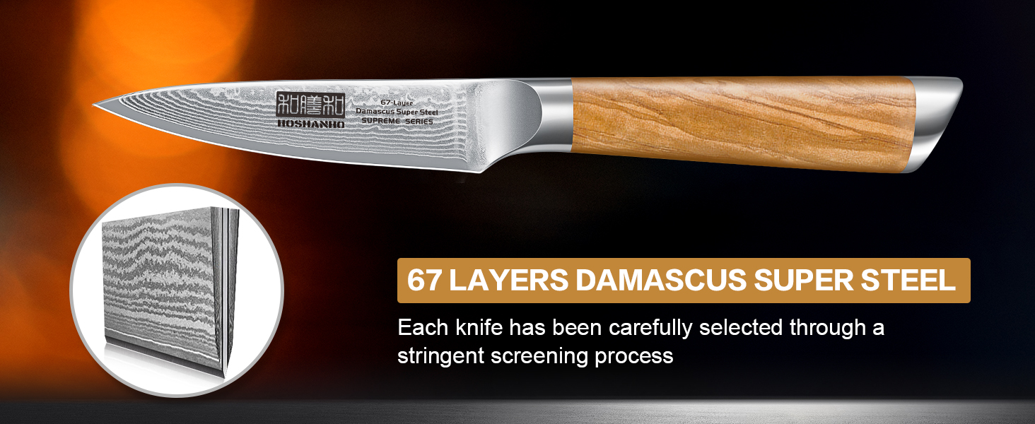 Японський ніж HOSHANHO з дамаської сталі 20 см, 67 шарів, кухонний ніж для приготування їжі, гострий, з ергономічною ручкою оливкового кольору (9.5 см), ніж для очищення