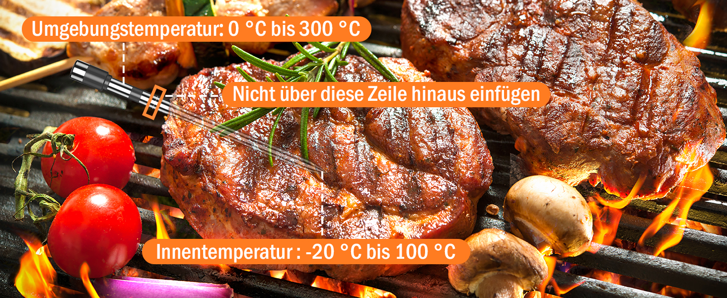 Бездротовий термометр для м'яса ANTELA з Bluetooth 200M, LCD дисплеєм, сигналом та APP, для приготування на грилі, BBQ та в духовці