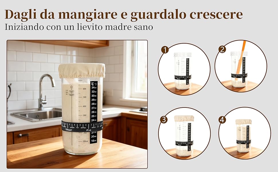 Набір для закваски хліба: 31 корзинка для бродіння, корзинки з силікону, форма для хліба, ніж для хліба, льняна тканина, сумка, скребок для тіста та щітка для початківців та досвідчених