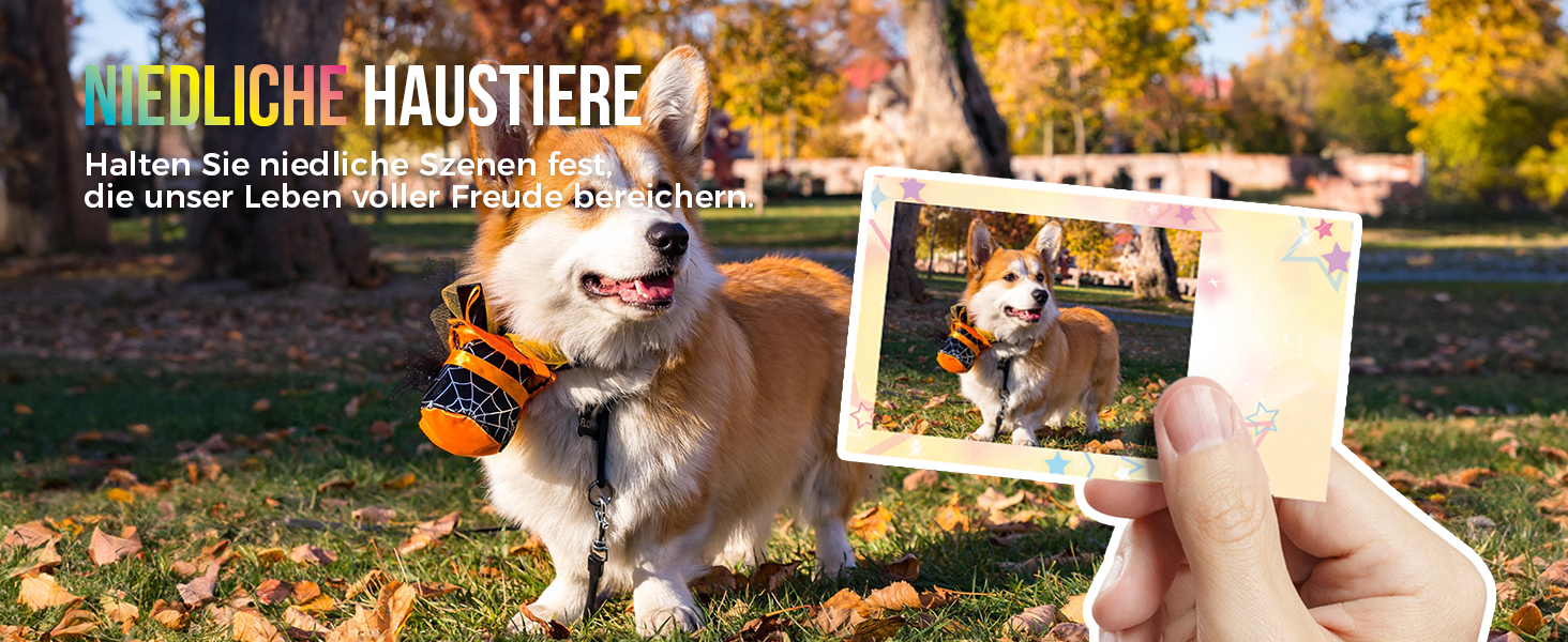 Портативний міні-принтер Nelko PP01 для фотографій з телефону. 20 листів паперу, принтер-наклейка, для iOS & Android, білий