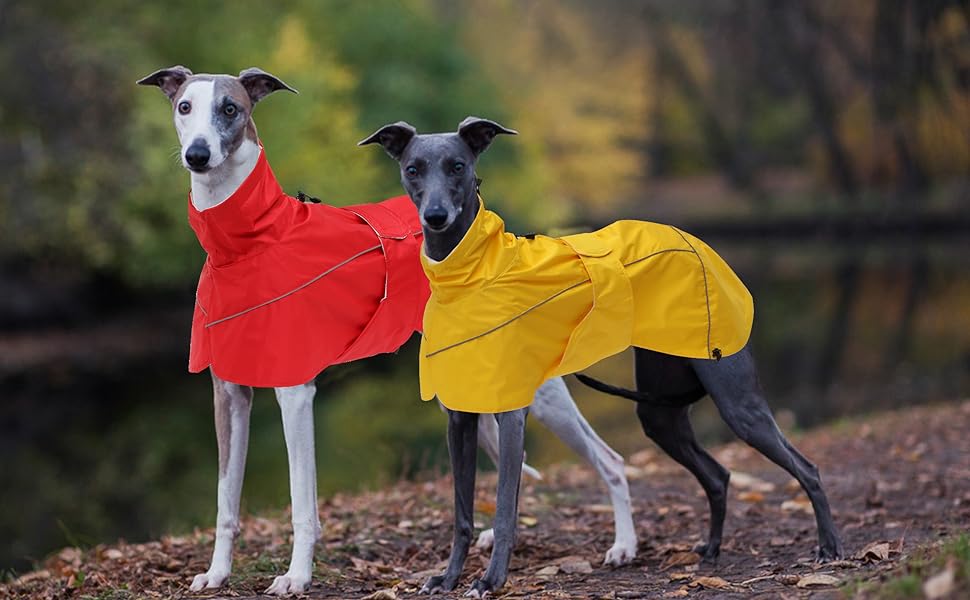 Дощовик MOREZI Greyhound, водонепроникний, із завищеною талією, регульований, для середніх/великих мисливських собак, жовтий, XXL