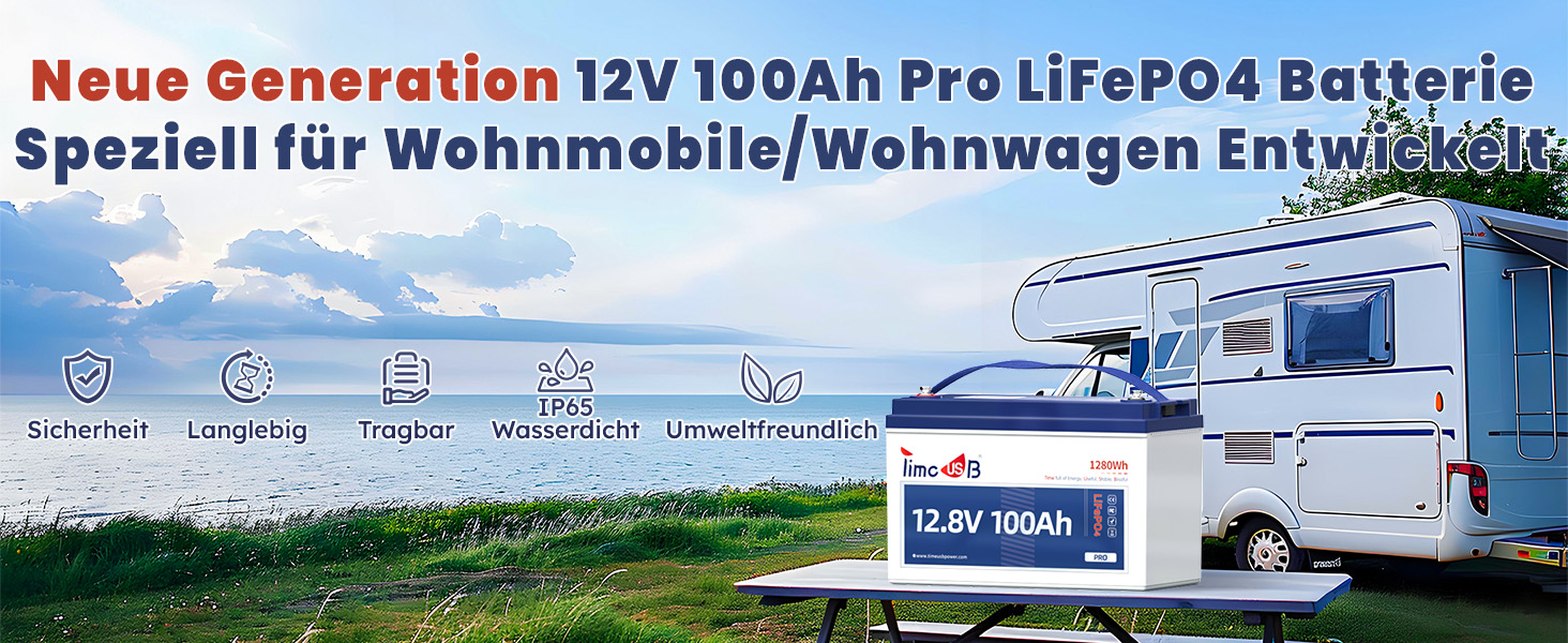 LiFePO4 акумулятор Timeusb Pro 12V 100Ah 640Wh з BMS 50A, літій-залізо-фосфатна батарея