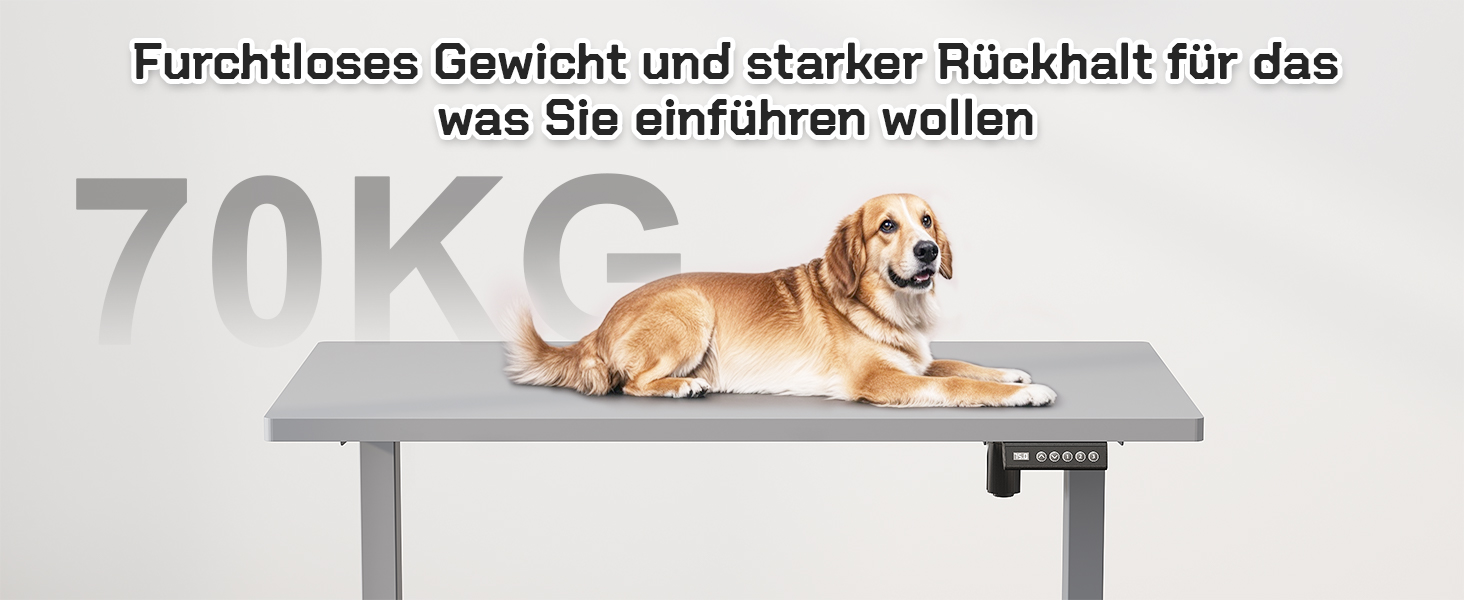 Столешниця JUMMICO для столу з регулюванням висоти, з потужними моторами, 3-ох пам'ять, для сидіння та стояння (білий), 100 x 160 см