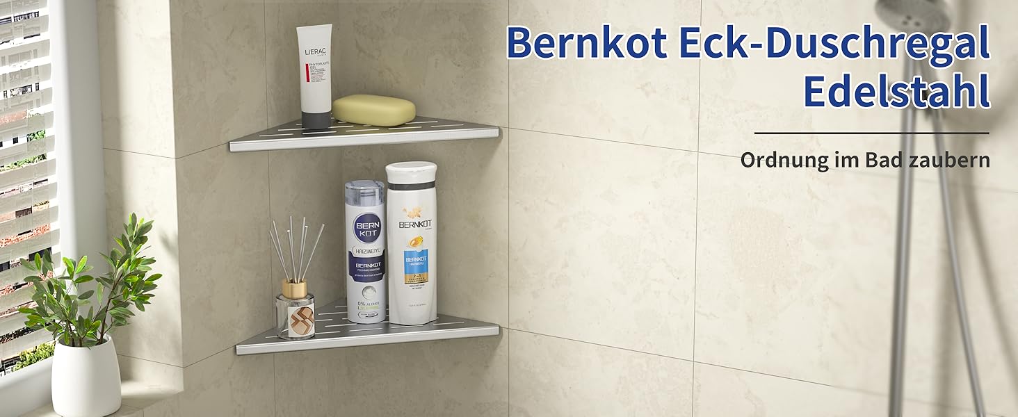 Поличка для душу Eck, нержавіюча сталь 304, для кахельної стіни, вбудована поличка для ремонту ванної кімнати, 2 шт., 254 мм, матова поверхня