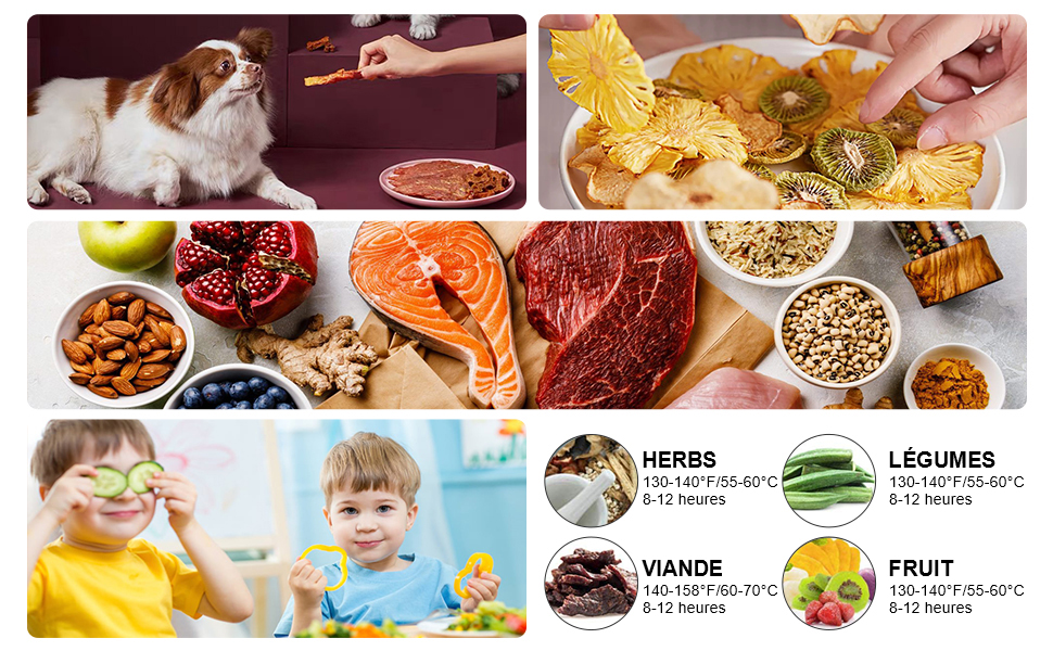 Сушарка для продуктів COOCHEER 8-ярусна, для овочів, фруктів, з таймером, регулюванням температури, LED-дисплеєм, 400 Вт, чорна