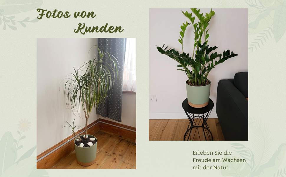 Набір горщиків для квітів ZMTECH 30,5 см (2 шт.) - пластикові горщики з піддоном для кімнатних рослин, сукулентів, квітів (білий)