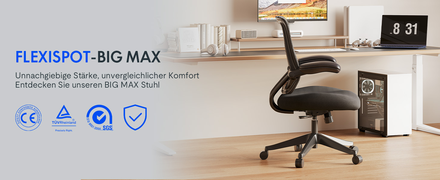 Крісло офісне FLEXISPOT чорне, 227 кг, регульовані підлокітники, для дому/офісу, з товстим сидінням, поворотне, OS2