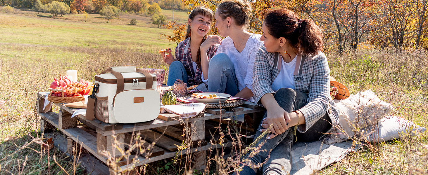 Термосумка-холодильник Lifewit 15л, сіра: сумка-холодильник для пікніка, пляжу, роботи, подорожей. Ізольована, складана, водонепроникна сумка для обіду, напоїв