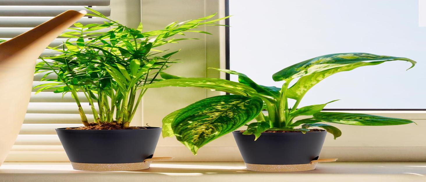 Набір горщиків для квітів з системою поливу (3 шт.) 20.3/17.8/15.2 см, зелений, для дому та балкону