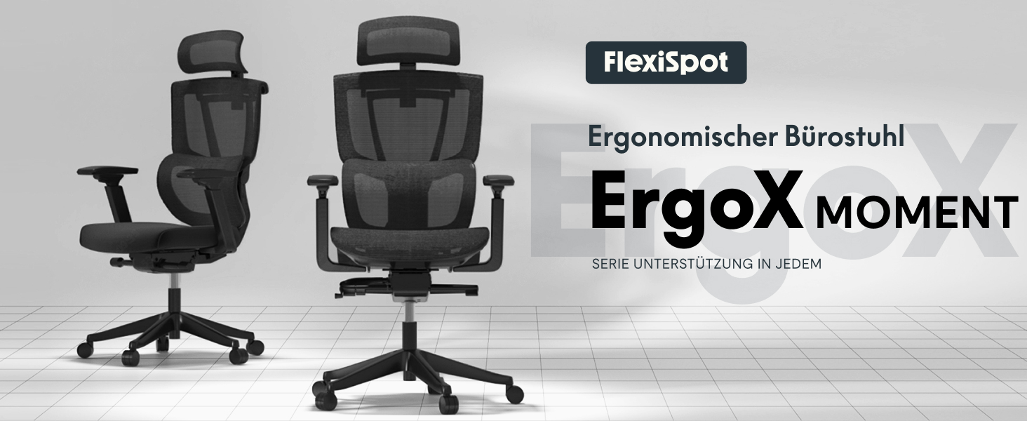 Крісло офісне ергономічне FLEXISPOT ErgoX чорного кольору, регульована поперекова підтримка, 4D підлокітники, 2D підголівник, дихаючий матеріал, висота регулюється, вантажопідйомність до 130 кг