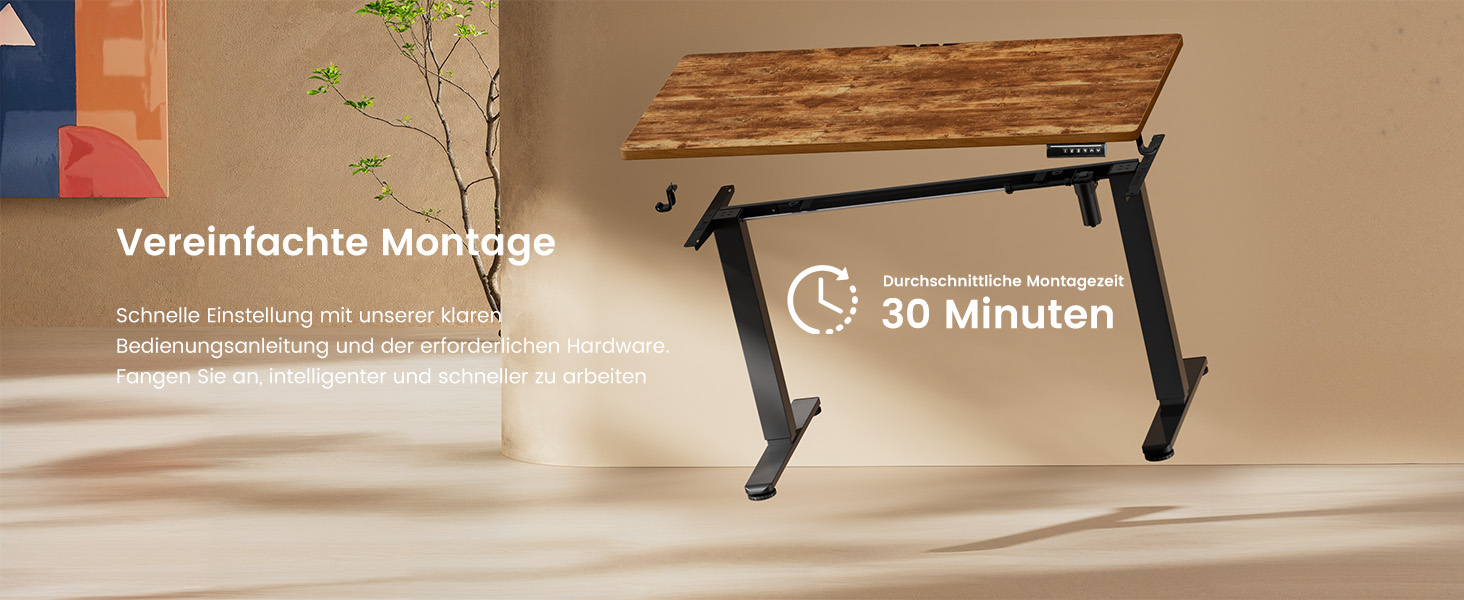 Електричний регульований стіл ErGear 160x80 см з 4-ма пам'ятними настройками, з'єднувальною пластиною, для дому та офісу, вінтажний колір дерева