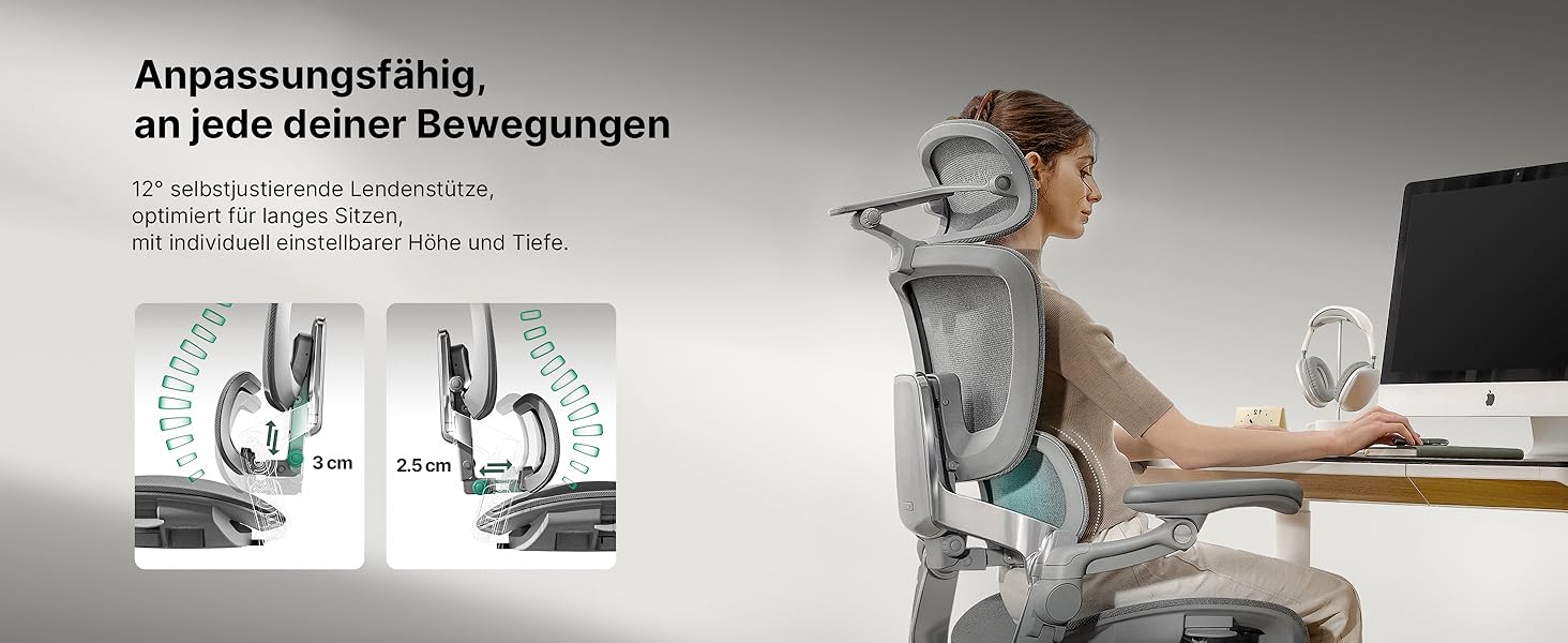 Офісний стіл HINOMI H2 Pro з ергономічною підтримкою попереку, регульованою підголівником та підлокітниками, до 150 кг, дихаюча сітка, поворотний крісло для дому та офісу, сірий