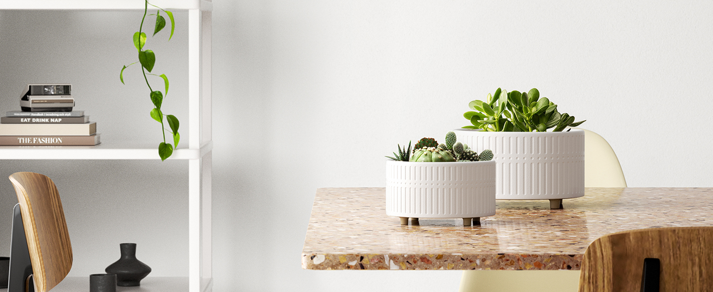 Набір горщиків для сукулентів LE TAUCI, 16,5+20 см, кераміка, для дому, з дренажними отворами, сучасний циліндричний дизайн, 2 шт. (білий)