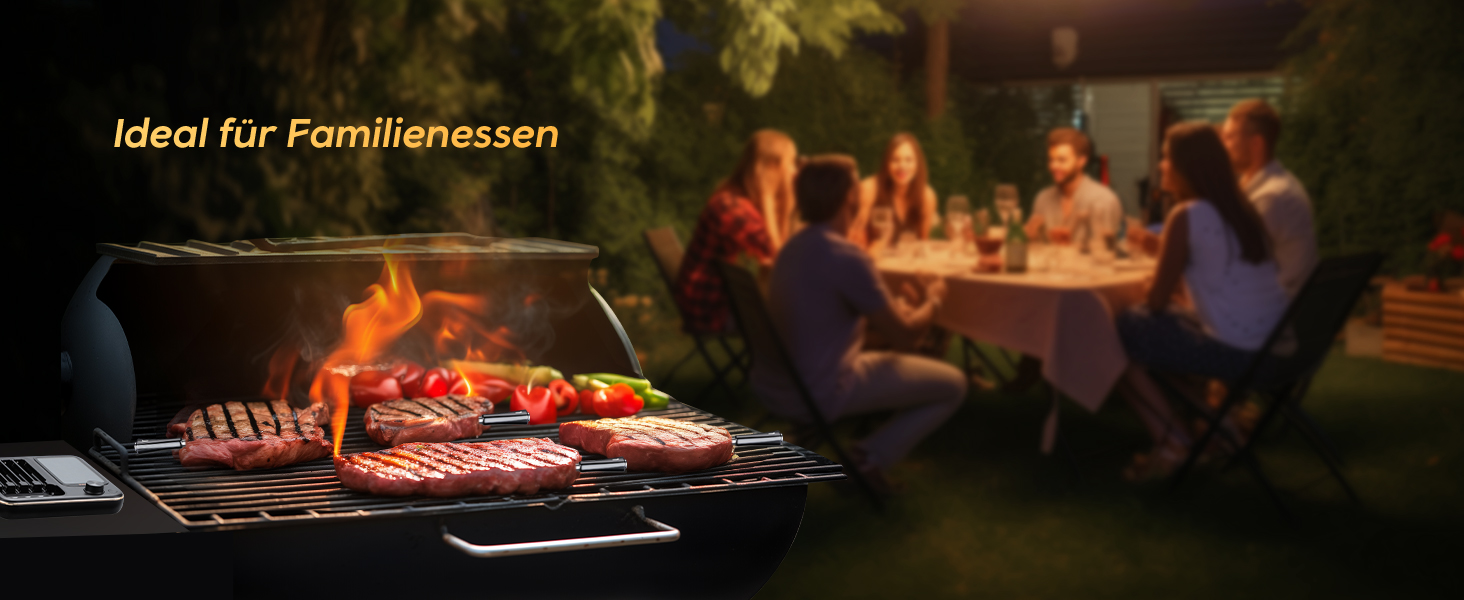 Бездротовий термометр Inkbird INT-14-BW для приготування на грилі, духовці, мангалі та фритюрниці, з Wi-Fi та Bluetooth